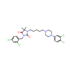 CC1(C)C(=O)N(Cc2ccc(Cl)cc2Cl)C(=O)N1CCCCCN1CCN(c2ccc(Cl)c(Cl)c2)CC1 ZINC000169311330