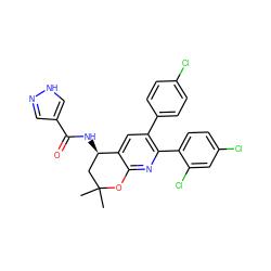 CC1(C)C[C@@H](NC(=O)c2cn[nH]c2)c2cc(-c3ccc(Cl)cc3)c(-c3ccc(Cl)cc3Cl)nc2O1 ZINC000049802970