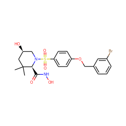 CC1(C)C[C@@H](O)CN(S(=O)(=O)c2ccc(OCc3cccc(Br)c3)cc2)[C@H]1C(=O)NO ZINC000028475431