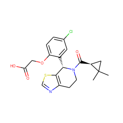 CC1(C)C[C@@H]1C(=O)N1CCc2ncsc2[C@@H]1c1cc(Cl)ccc1OCC(=O)O ZINC000206935071