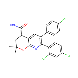 CC1(C)C[C@H](C(N)=O)c2cc(-c3ccc(Cl)cc3)c(-c3ccc(Cl)cc3Cl)nc2O1 ZINC000049035176