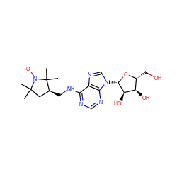 CC1(C)C[C@H](CNc2ncnc3c2ncn3[C@@H]2O[C@H](CO)[C@@H](O)[C@H]2O)C(C)(C)N1[O] ZINC000101269010