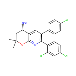 CC1(C)C[C@H](N)c2cc(-c3ccc(Cl)cc3)c(-c3ccc(Cl)cc3Cl)nc2O1 ZINC000049035100