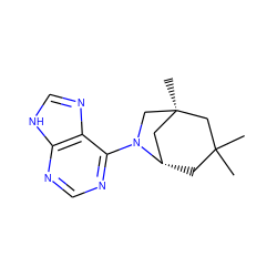 CC1(C)C[C@H]2C[C@@](C)(CN2c2ncnc3[nH]cnc23)C1 ZINC000100786617