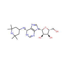 CC1(C)CC(N[C@H]2NC=Nc3c2ncn3[C@@H]2O[C@H](CO)[C@@H](O)[C@H]2O)CC(C)(C)N1 ZINC000049088969