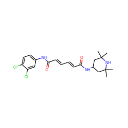 CC1(C)CC(NC(=O)/C=C/C=C/C(=O)Nc2ccc(Cl)c(Cl)c2)CC(C)(C)N1 ZINC000027560935