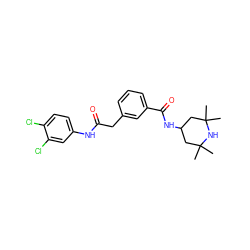 CC1(C)CC(NC(=O)c2cccc(CC(=O)Nc3ccc(Cl)c(Cl)c3)c2)CC(C)(C)N1 ZINC000027561451