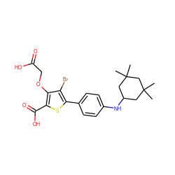 CC1(C)CC(Nc2ccc(-c3sc(C(=O)O)c(OCC(=O)O)c3Br)cc2)CC(C)(C)C1 ZINC000014955160