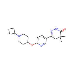 CC1(C)CC(c2ccc(OC3CCN(C4CCC4)CC3)nc2)=NNC1=O ZINC000082152162