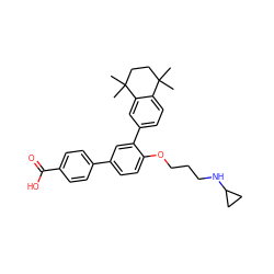 CC1(C)CCC(C)(C)c2cc(-c3cc(-c4ccc(C(=O)O)cc4)ccc3OCCCNC3CC3)ccc21 ZINC000038324039