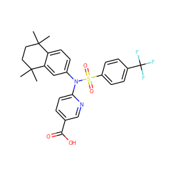 CC1(C)CCC(C)(C)c2cc(N(c3ccc(C(=O)O)cn3)S(=O)(=O)c3ccc(C(F)(F)F)cc3)ccc21 ZINC000044418529