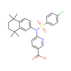 CC1(C)CCC(C)(C)c2cc(N(c3ccc(C(=O)O)cn3)S(=O)(=O)c3ccc(Cl)cc3)ccc21 ZINC000040896883