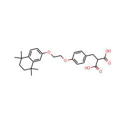 CC1(C)CCC(C)(C)c2cc(OCCOc3ccc(CC(C(=O)O)C(=O)O)cc3)ccc21 ZINC000027095206