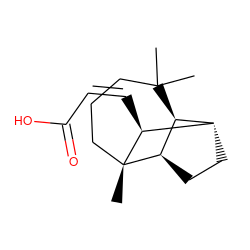 CC1(C)CCC[C@]2(C)[C@@H](/C=C\C(=O)O)[C@H]3CC[C@@H]2[C@H]31 ZINC000028645601