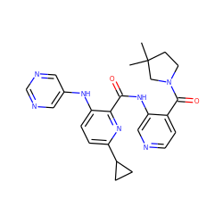 CC1(C)CCN(C(=O)c2ccncc2NC(=O)c2nc(C3CC3)ccc2Nc2cncnc2)C1 ZINC000150166365