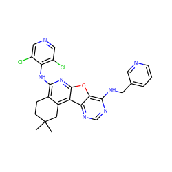 CC1(C)CCc2c(Nc3c(Cl)cncc3Cl)nc3oc4c(NCc5cccnc5)ncnc4c3c2C1 ZINC000072121306