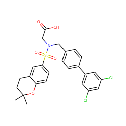 CC1(C)CCc2cc(S(=O)(=O)N(CC(=O)O)Cc3ccc(-c4cc(Cl)cc(Cl)c4)cc3)ccc2O1 ZINC000118412597