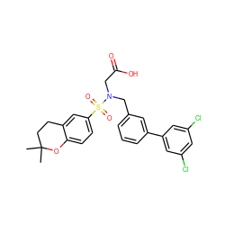 CC1(C)CCc2cc(S(=O)(=O)N(CC(=O)O)Cc3cccc(-c4cc(Cl)cc(Cl)c4)c3)ccc2O1 ZINC000118429781