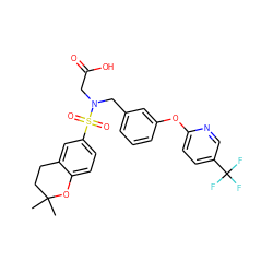 CC1(C)CCc2cc(S(=O)(=O)N(CC(=O)O)Cc3cccc(Oc4ccc(C(F)(F)F)cn4)c3)ccc2O1 ZINC000299827457