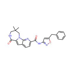 CC1(C)CNC(=O)c2cc3ccc(C(=O)Nc4cc(Cc5ccccc5)on4)nc3n2C1 ZINC000147084067