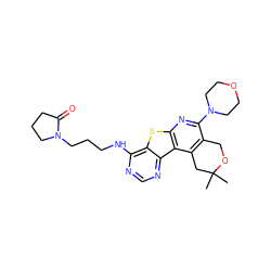 CC1(C)Cc2c(c(N3CCOCC3)nc3sc4c(NCCCN5CCCC5=O)ncnc4c23)CO1 ZINC000034632145