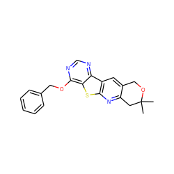 CC1(C)Cc2nc3sc4c(OCc5ccccc5)ncnc4c3cc2CO1 ZINC000002253205