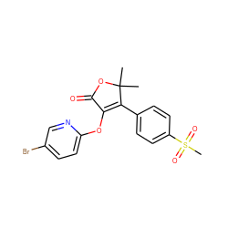 CC1(C)OC(=O)C(Oc2ccc(Br)cn2)=C1c1ccc(S(C)(=O)=O)cc1 ZINC000000602325