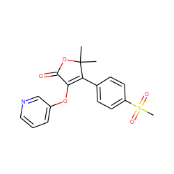 CC1(C)OC(=O)C(Oc2cccnc2)=C1c1ccc(S(C)(=O)=O)cc1 ZINC000026935517