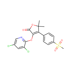 CC1(C)OC(=O)C(Oc2ncc(Cl)cc2Cl)=C1c1ccc(S(C)(=O)=O)cc1 ZINC000026938122