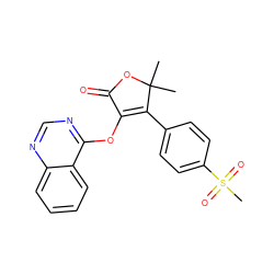 CC1(C)OC(=O)C(Oc2ncnc3ccccc23)=C1c1ccc(S(C)(=O)=O)cc1 ZINC000026850306