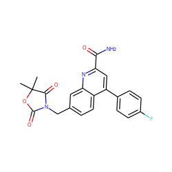 CC1(C)OC(=O)N(Cc2ccc3c(-c4ccc(F)cc4)cc(C(N)=O)nc3c2)C1=O ZINC000221623782