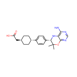 CC1(C)Oc2ncnc(N)c2N[C@H]1c1ccc([C@H]2CC[C@H](CC(=O)O)CC2)cc1 ZINC000253804838