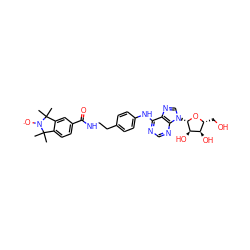 CC1(C)c2ccc(C(=O)NCCc3ccc(Nc4ncnc5c4ncn5[C@@H]4O[C@H](CO)[C@@H](O)[C@H]4O)cc3)cc2C(C)(C)N1[O] ZINC000101269007