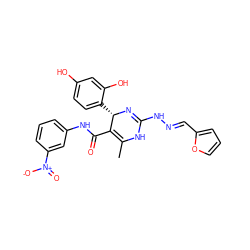 CC1=C(C(=O)Nc2cccc([N+](=O)[O-])c2)[C@H](c2ccc(O)cc2O)N=C(N/N=C/c2ccco2)N1 ZINC000049792960