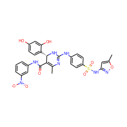 CC1=C(C(=O)Nc2cccc([N+](=O)[O-])c2)[C@H](c2ccc(O)cc2O)NC(Nc2ccc(S(=O)(=O)Nc3cc(C)on3)cc2)=N1 ZINC000049769625