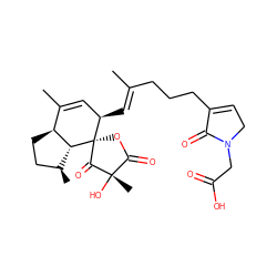 CC1=C[C@@H](/C=C(\C)CCCC2=CCN(CC(=O)O)C2=O)[C@]2(OC(=O)[C@](C)(O)C2=O)[C@@H]2[C@@H](C)CC[C@@H]12 ZINC000205229364