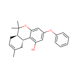 CC1=CC[C@@H]2[C@@H](C1)c1c(O)cc(Oc3ccccc3)cc1OC2(C)C ZINC000028965870