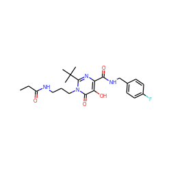 CCC(=O)NCCCn1c(C(C)(C)C)nc(C(=O)NCc2ccc(F)cc2)c(O)c1=O ZINC000096940402