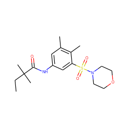 CCC(C)(C)C(=O)Nc1cc(C)c(C)c(S(=O)(=O)N2CCOCC2)c1 ZINC000045358439