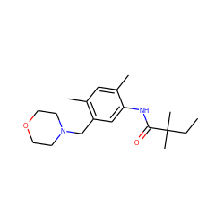 CCC(C)(C)C(=O)Nc1cc(CN2CCOCC2)c(C)cc1C ZINC000045259378