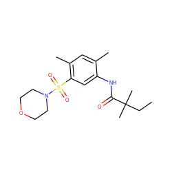 CCC(C)(C)C(=O)Nc1cc(S(=O)(=O)N2CCOCC2)c(C)cc1C ZINC000045336963