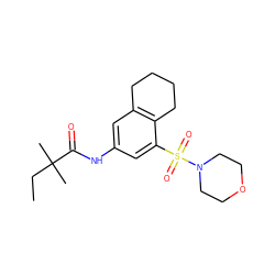 CCC(C)(C)C(=O)Nc1cc2c(c(S(=O)(=O)N3CCOCC3)c1)CCCC2 ZINC000045372893