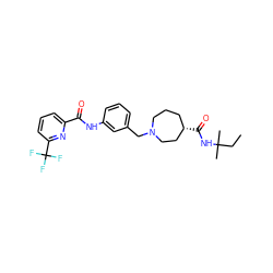 CCC(C)(C)NC(=O)[C@H]1CCCN(Cc2cccc(NC(=O)c3cccc(C(F)(F)F)n3)c2)CC1 ZINC001772653094