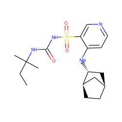 CCC(C)(C)NC(=O)NS(=O)(=O)c1cnccc1N[C@@H]1C[C@H]2CC[C@@H]1C2 ZINC000071329609