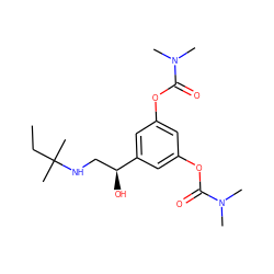 CCC(C)(C)NC[C@H](O)c1cc(OC(=O)N(C)C)cc(OC(=O)N(C)C)c1 ZINC001772620598