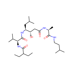 CCC(CC)C(=O)N[C@H](C(=O)N[C@@H](CC(C)C)[C@@H](O)CC(=O)N[C@@H](C)C(=O)NCCC(C)C)C(C)C ZINC000027877064