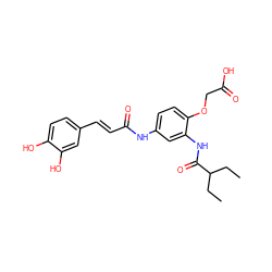 CCC(CC)C(=O)Nc1cc(NC(=O)/C=C/c2ccc(O)c(O)c2)ccc1OCC(=O)O ZINC000096928427