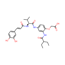 CCC(CC)C(=O)Nc1cc(NC(=O)[C@@H](NC(=O)/C=C/c2ccc(O)c(O)c2)C(C)C)ccc1OCC(=O)O ZINC000103253671