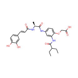 CCC(CC)C(=O)Nc1cc(NC(=O)[C@H](C)NC(=O)/C=C/c2ccc(O)c(O)c2)ccc1OCC(=O)O ZINC000103253669