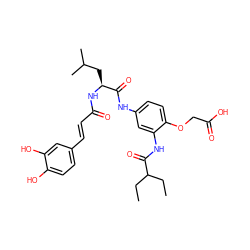 CCC(CC)C(=O)Nc1cc(NC(=O)[C@H](CC(C)C)NC(=O)/C=C/c2ccc(O)c(O)c2)ccc1OCC(=O)O ZINC000098065458